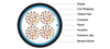 Foam Skin Insulated & AP Sheathed (ALPETH) Jelly Filled Cables to GR-421